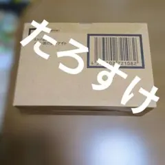 美品 S.H.Figuarts（真骨彫製法） イコン画の赤いアギト 仮面ライダー