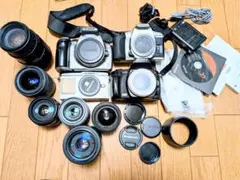 Item thumbnail for item 2a55e05c-b647-4512-9575-2ee7bc1d89fa