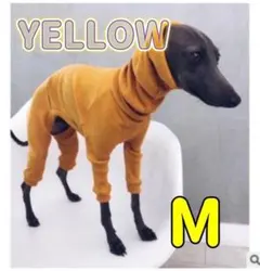 イエロー 黄 M 犬服 ロンパース イタリアングレードハウンドのサムネイル