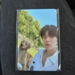 stray kids STAY IN STAY JEJU スンミン　トレカ