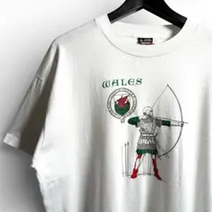 古着 90s FRUIT USA ヴィンテージ Tシャツ ヨーロッパ A05