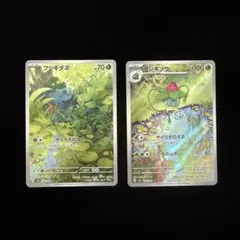 2026年最新】フシギソウARの人気アイテム - メルカリ