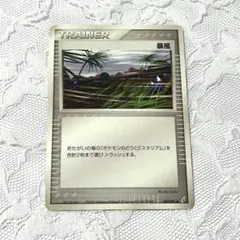 2026年最新】暴風 ポケモンカードの人気アイテム - メルカリ
