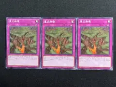 重力崩壊 3枚セット