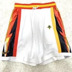 希少　ナイキ　レイガンズ　バスケショーツ　バスパン　水着　海パン　Lサイズ相当