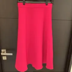 アダムエロペ リバーシブルフレアスカート