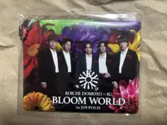 ジョイポリス パスケース 堂本光一 ふぉ〜ゆ〜 クリアファイル DOMOTO ジョイポリス 堂本光一 ふぉ〜ゆ〜 パスケース - メルカリ