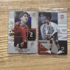 小野寺太志 日本代表 バレーボール トレーディングカード 2枚セット