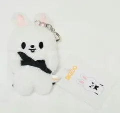 2026年最新】skzoo ぬいぐるみ マグネットの人気アイテム - メルカリ