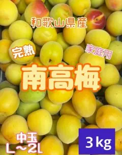 和歌山県紀南産 完熟南高梅2㎏ 秀 3L - メルカリ