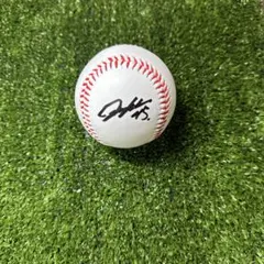 2025年最新】中日ドラゴンズサインボールの人気アイテム - メルカリ