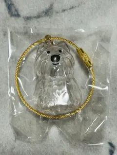 わんこのタイムカプセル　モコ