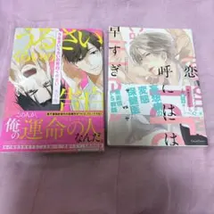 BL漫画 2冊セット