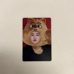 straykids スキズ トレカ ハン maxident SKZOO JYP - メルカリ