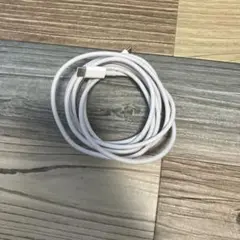 Apple MacBook USB-Cケーブル　純正