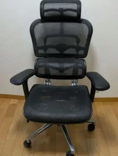 エルゴヒューマン ベーシックハイ 訳あり