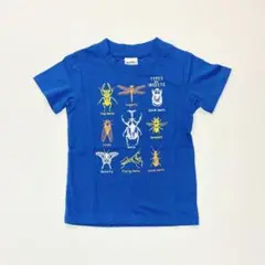 子供服 男の子 半袖 Tシャツ 昆虫 80cm 新品 FSN21-1