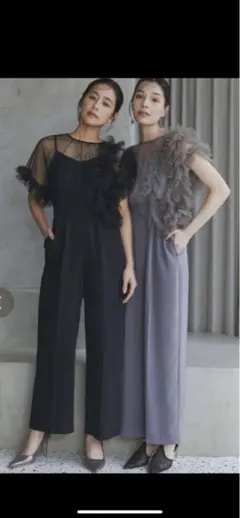 あ様、専用 ラグナムーン　LADYチュールドッキングコンビネゾン　ブラックM