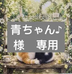 青ちゃん♪様　専用