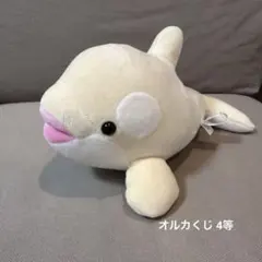 上海海昌海洋水族館 シャチ ぬいぐるみ 抱き枕 シーワールド シャチくじ 上海海昌海洋水族館 シャチ ぬいぐるみ 抱き枕 シーワールド シャチ