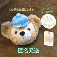 バケーションパッケージ　ダッフィー　ショルダーバッグ　バケパ