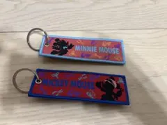 東京ディズニーシー　フライトタグ　ミッキー　ミニー　ドリームス・テイク・フライト