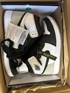 Nike Air Jordan 1 High OG Bleached Coral