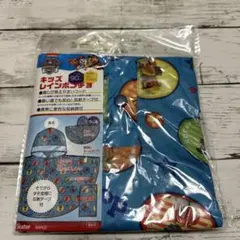 Item thumbnail for item 867b4f40-b0a8-40ab-a428-1c8224bc5d96