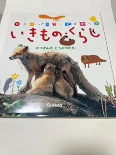 【美品】Gakken スーパーワイドずかん　全巻セット 学研 図鑑 学研 スーパーワイドずかん 全12巻 - メルカリ