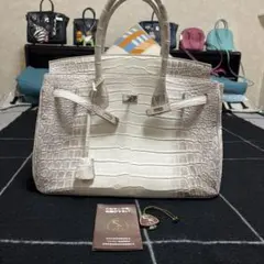 2025年最新】クロコダイル バッグ jraの人気アイテム - メルカリ