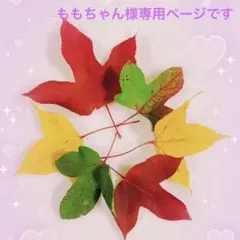 羊毛フェルト　シェルティ