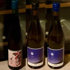 宮本ヴィンヤード＋モンガク谷 北海道希少白ワイン2本セット - メルカリ