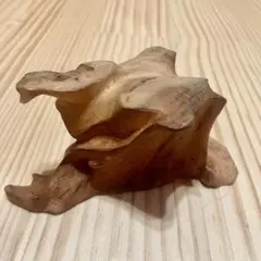 自然な形状の流木