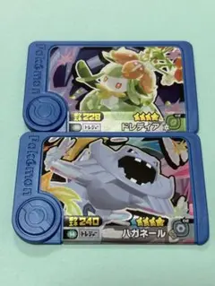 【匿名発送】ポケモン フレンダ ドレティア•ハガネール