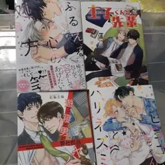 商業 BL 新刊 含 組み換え可能　ふるえる心の処方箋　辛井七味