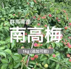 群馬県産 南高梅 L〜2Lサイズ 10キロ 農家直送 - メルカリ