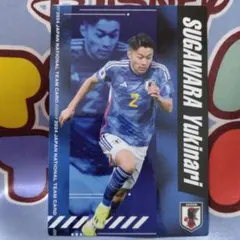 菅原由勢 レギュラーカード　2024 カルビー日本代表チップス