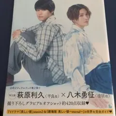 美品　TVドラマ&劇場版「美しい彼」公式ビジュアルブック