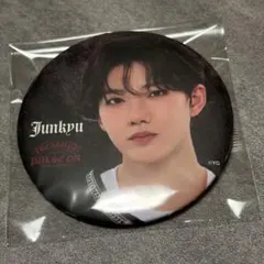 TREASURE 缶バッジ PULSE ON JAPAN ジュンギュ