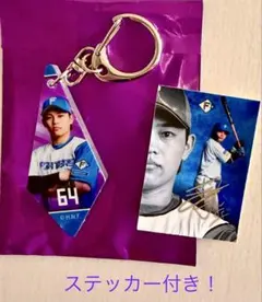 日本ハムファイターズ シークレット磁石でくっつくアクリル