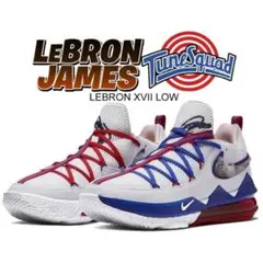 【ボックス付き】 NIKE LEBRON XVII LOW TUNE SQUAD