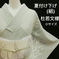 夏着物　(絽付け下げ　カキツバタ文様　セミアンティーク　小サイズ　身幅やや広め)