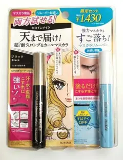 ヒロインメイク ロングUPマスカラ N & リムーバー 限定セットのサムネイル