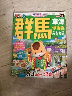 2025年最新】スキーマップルの人気アイテム - メルカリ