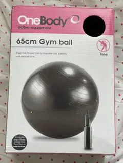 バランスボール エクササイズボール 65cm グレー 空気入れ ポンプ 付き