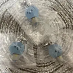 JOCHUM めじるしアクセサリー　マイクン