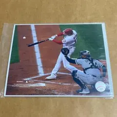 セントルイス・カージナルス ヤディアー・モリーナ選手直筆サイン入りフォト証明書付 セントルイス・カージナルス ヤディアー・モリーナ選手直筆サイン入り