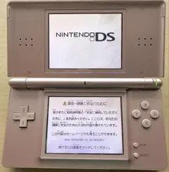ニンテンドーDS Lite 本体 ローズゴールド 任天堂 動作確認済み 美品