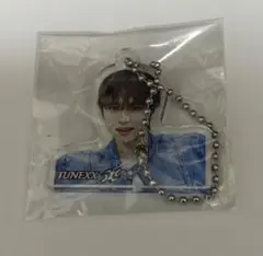 キムイヌ ガチャガチャ アクリルキーホルダー TUNEXX