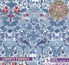 Item thumbnail for item 907fb109-4f2c-4cba-9218-525245552f50